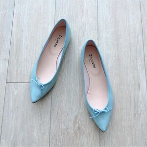 Repetto Brigitte Pointed Toe Ballet Flat